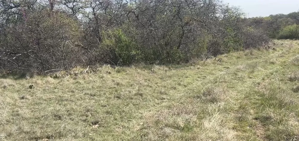 198 County Road 259 Goldthwaite, TX 76844