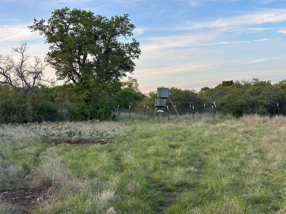 198 County Road 259 Goldthwaite, TX 76844