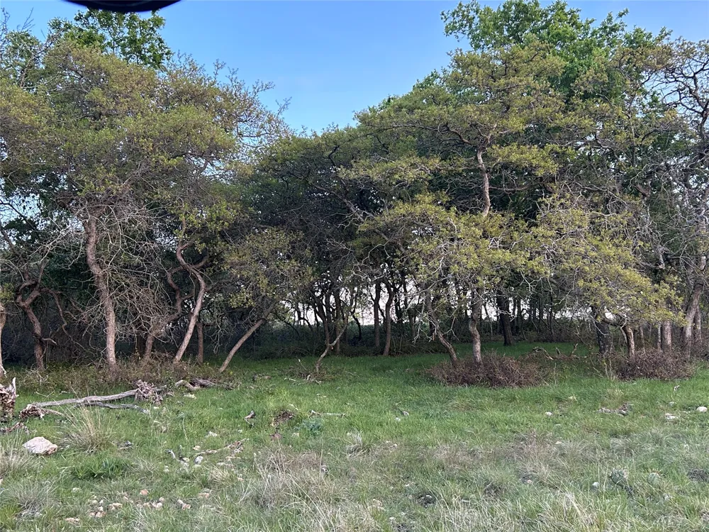 198 County Road 259 Goldthwaite, TX 76844