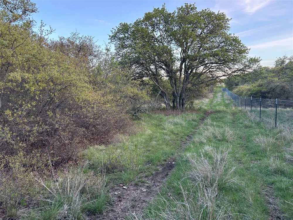 198 County Road 259 Goldthwaite, TX 76844