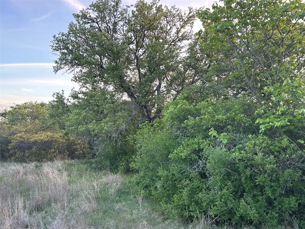198 County Road 259 Goldthwaite, TX 76844