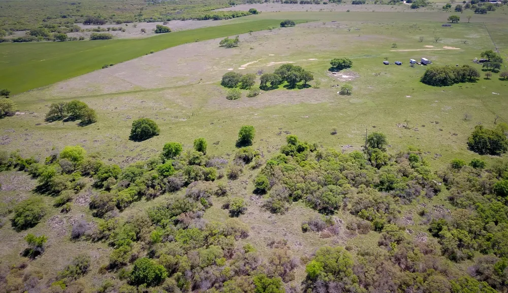 198 County Road 259 Goldthwaite, TX 76844