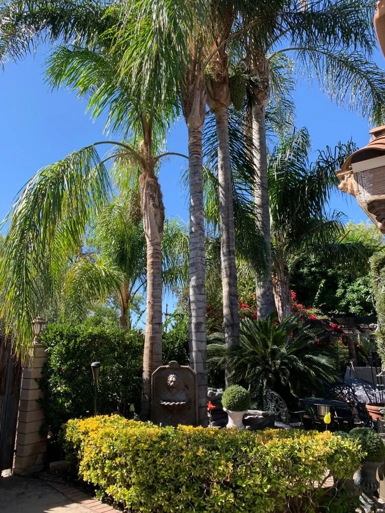17419 Cohasset Lake Balboa, CA 91406