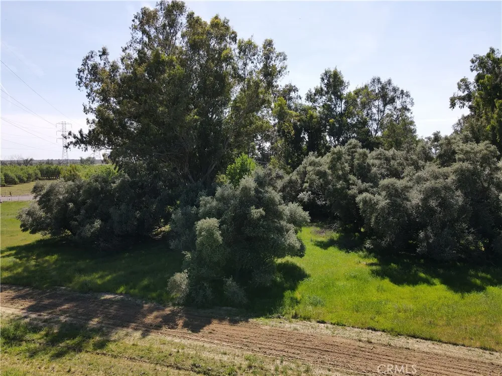 11 CORNING Corning, CA 06021