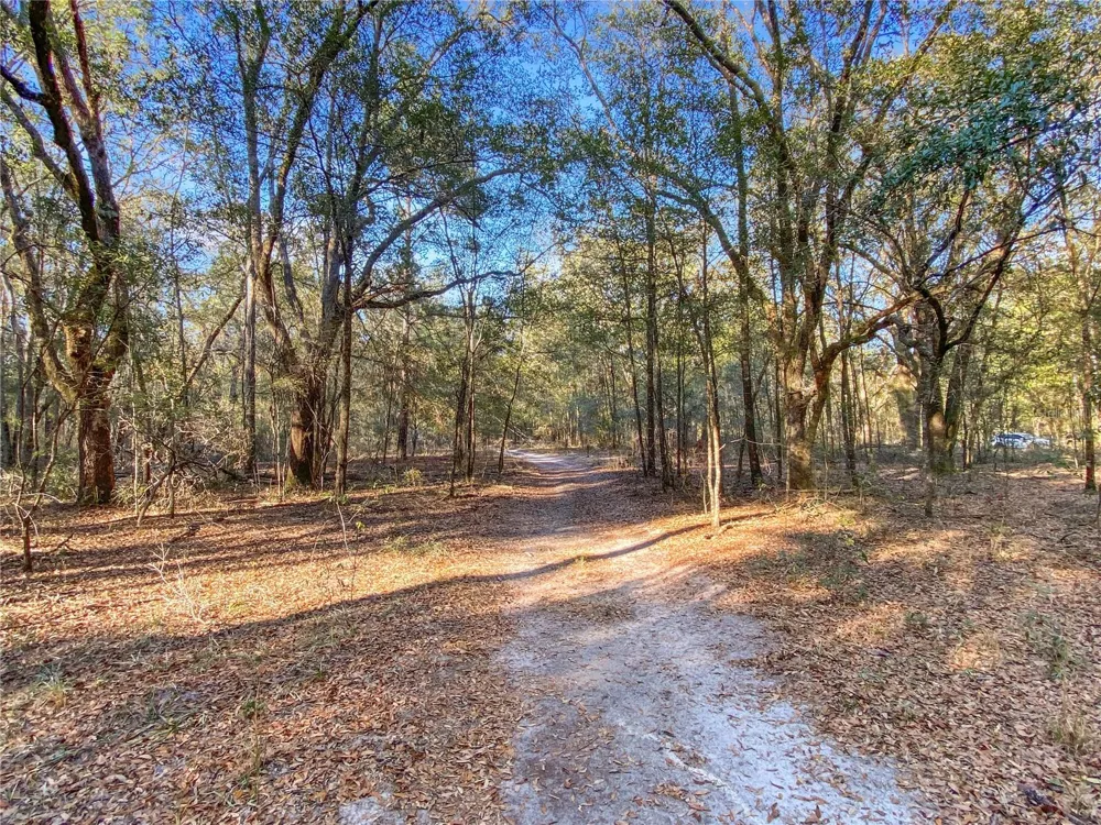 SW BUFFALO CT Fort White, FL 32038