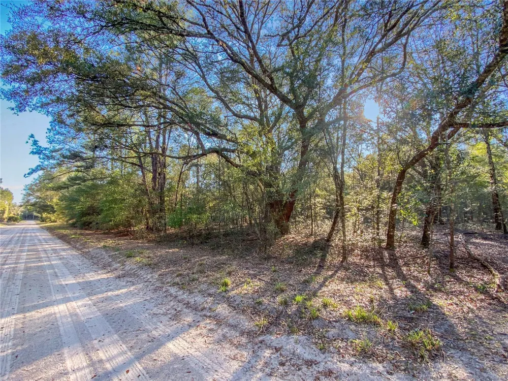 SW BUFFALO CT Fort White, FL 32038