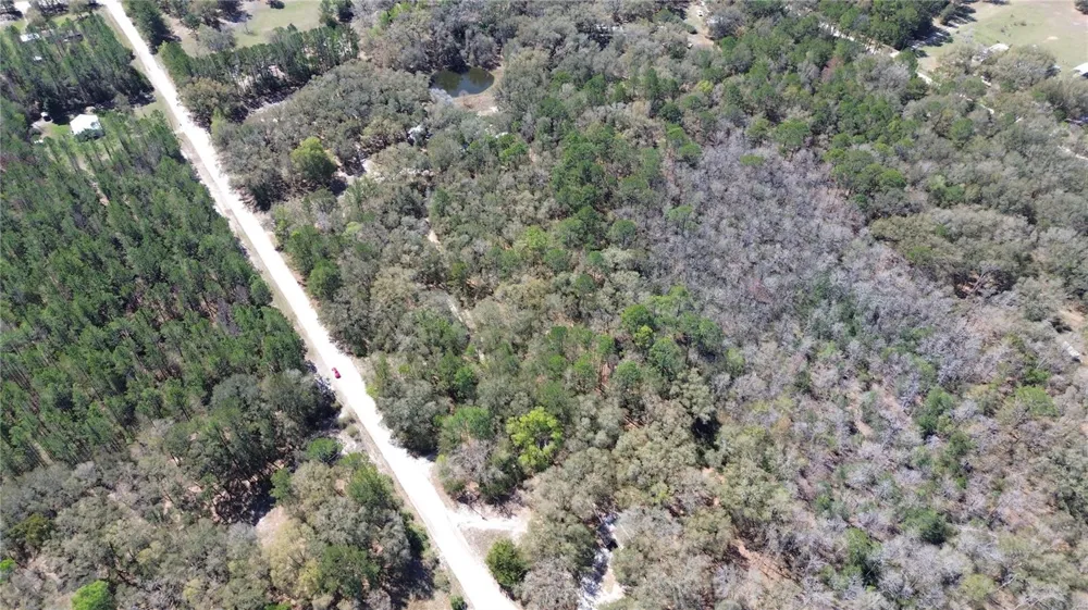SW BUFFALO CT Fort White, FL 32038