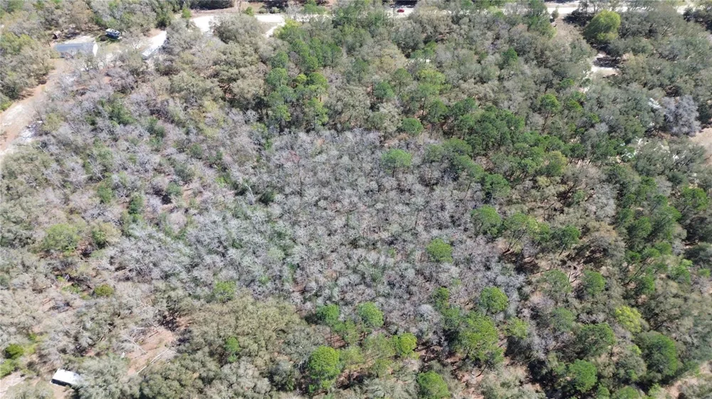 SW BUFFALO CT Fort White, FL 32038
