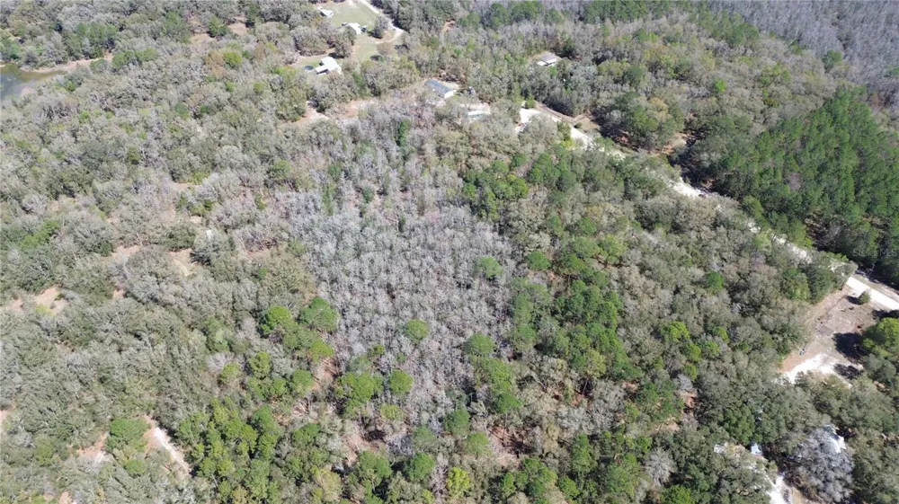 SW BUFFALO CT Fort White, FL 32038