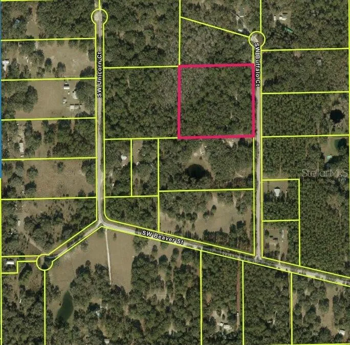 SW BUFFALO CT Fort White, FL 32038
