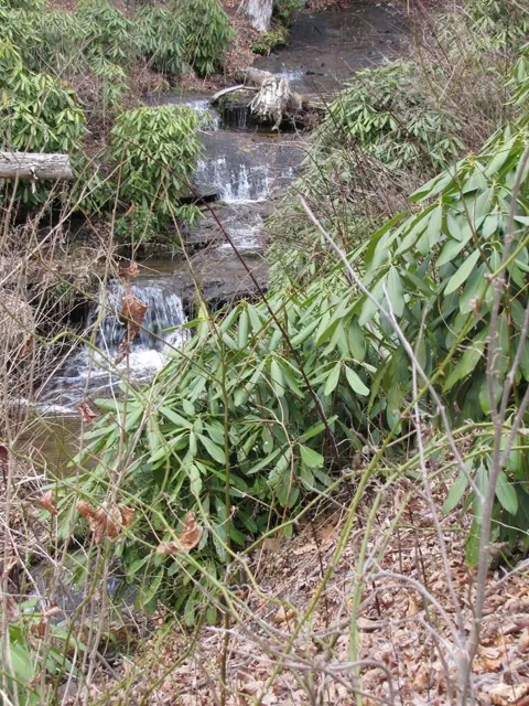 Robinson Creek Rd