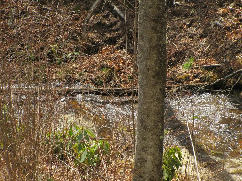 Robinson Creek Rd Glenville, NC 28736