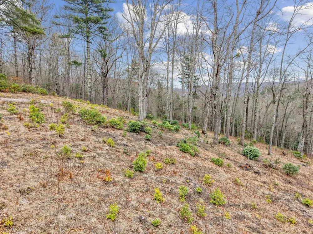 Robinson Creek Rd Glenville, NC 28736