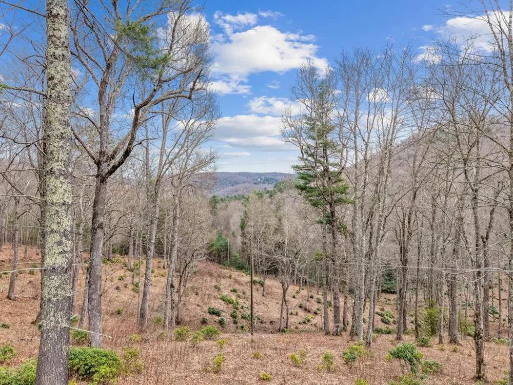 Robinson Creek Rd Glenville, NC 28736