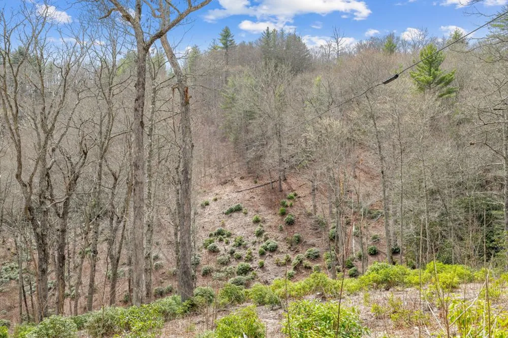 Robinson Creek Rd Glenville, NC 28736
