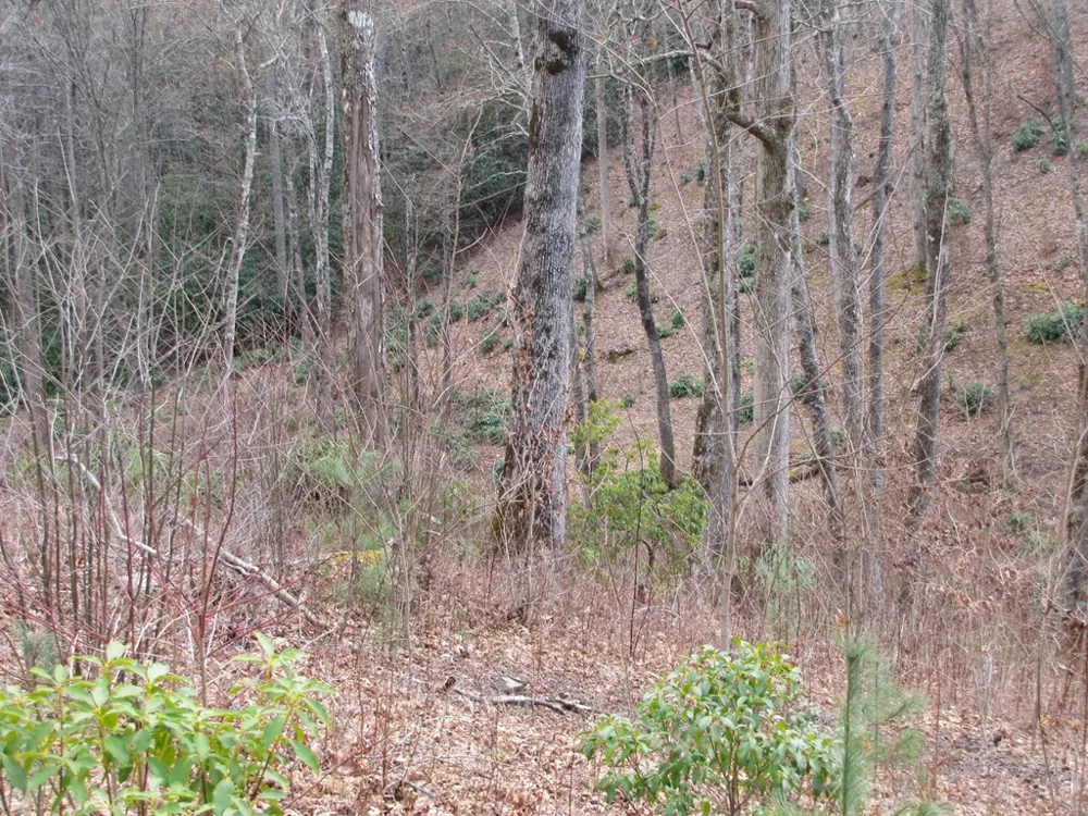Robinson Creek Rd Glenville, NC 28736