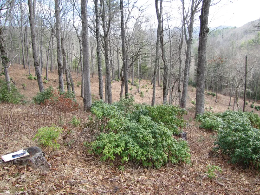 Robinson Creek Rd Glenville, NC 28736
