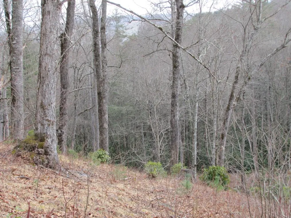 Robinson Creek Rd Glenville, NC 28736