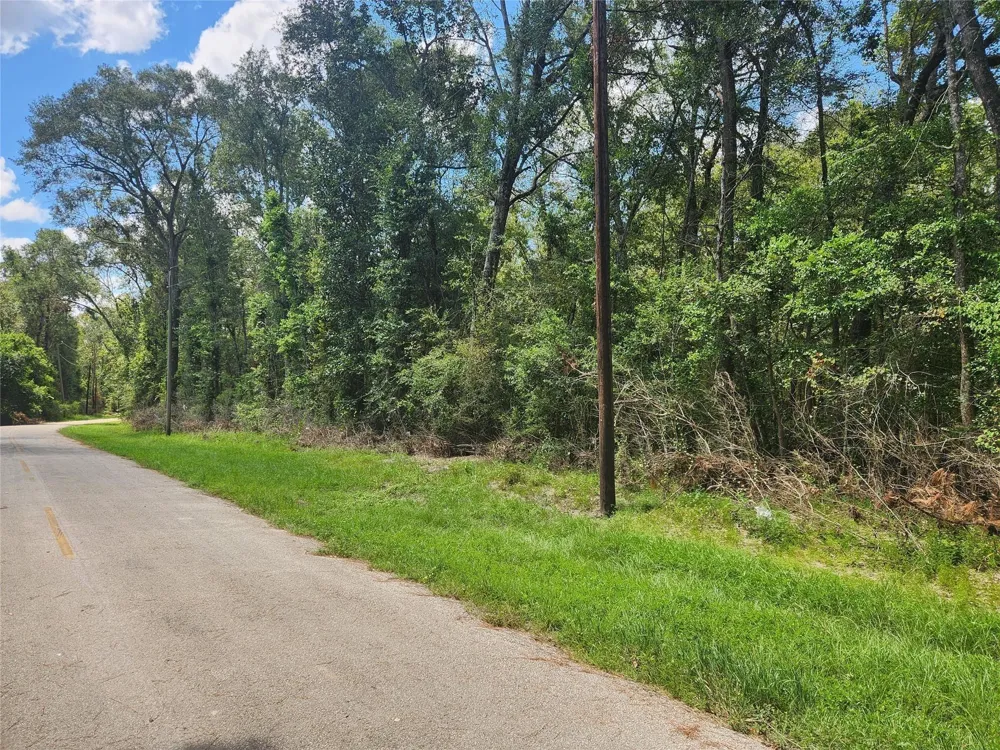 Idlewild New Caney, TX 77357
