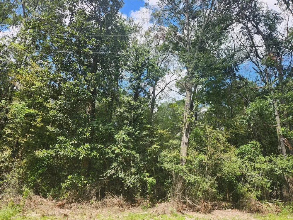 Idlewild New Caney, TX 77357