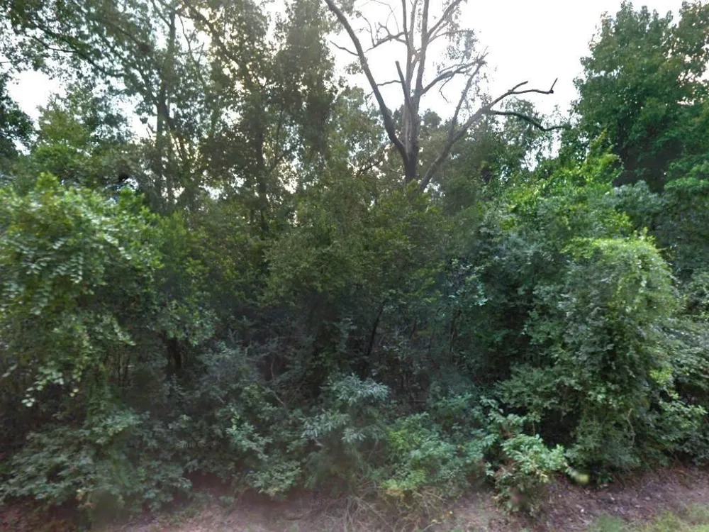 Idlewild New Caney, TX 77357