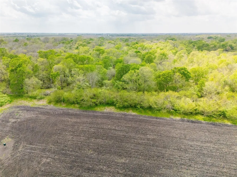 Svoboda Road Wallis, TX 77485