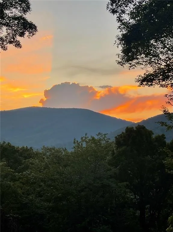 881 Fox Mountain Road Cherry Log, GA 30522
