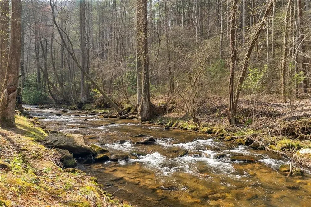 881 Fox Mountain Road Cherry Log, GA 30522