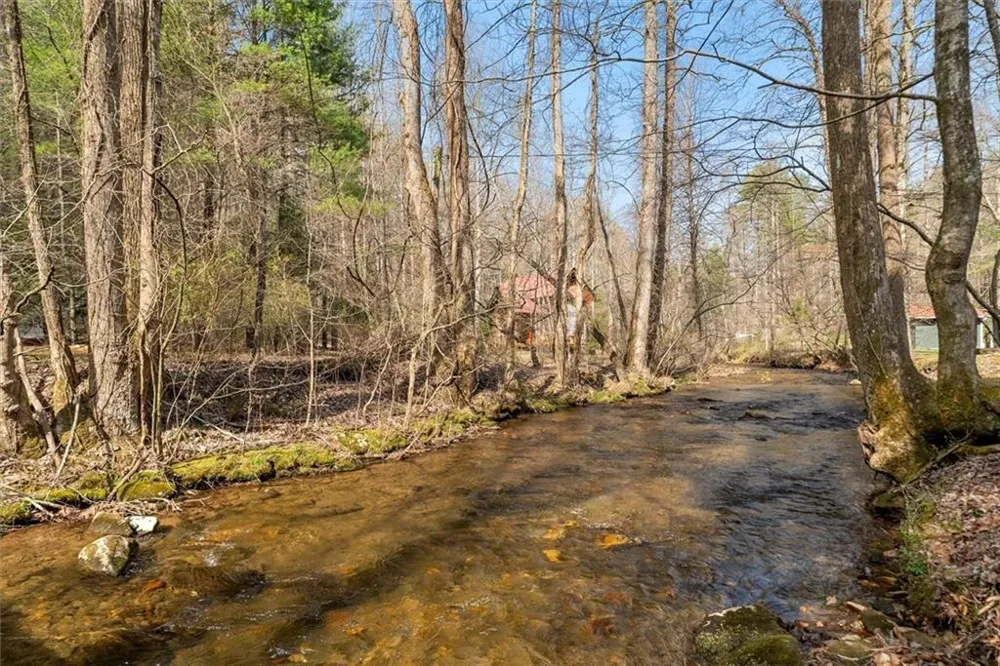 881 Fox Mountain Road Cherry Log, GA 30522