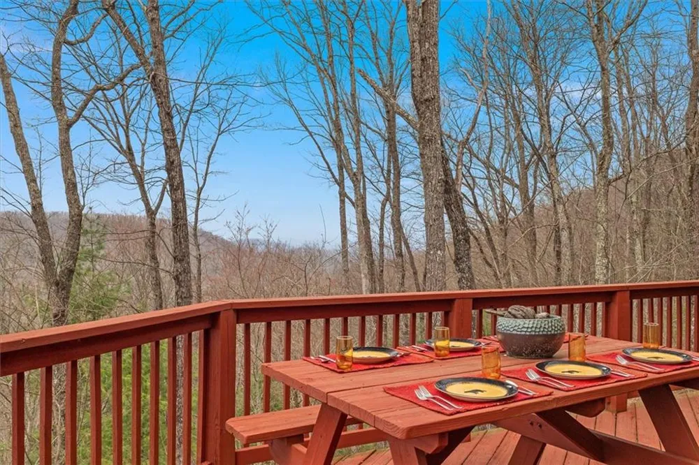 881 Fox Mountain Road Cherry Log, GA 30522