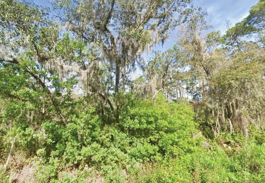 119 TEMPLE AVENUE Crescent City, FL 32112