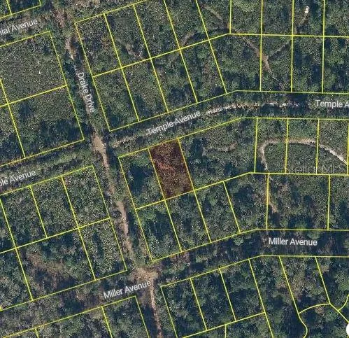 119 TEMPLE AVENUE Crescent City, FL 32112