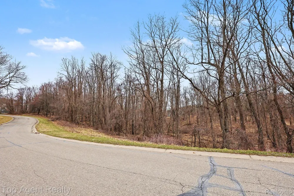 1511 Barrwood Trail Oxford Charter Township, MI 48371