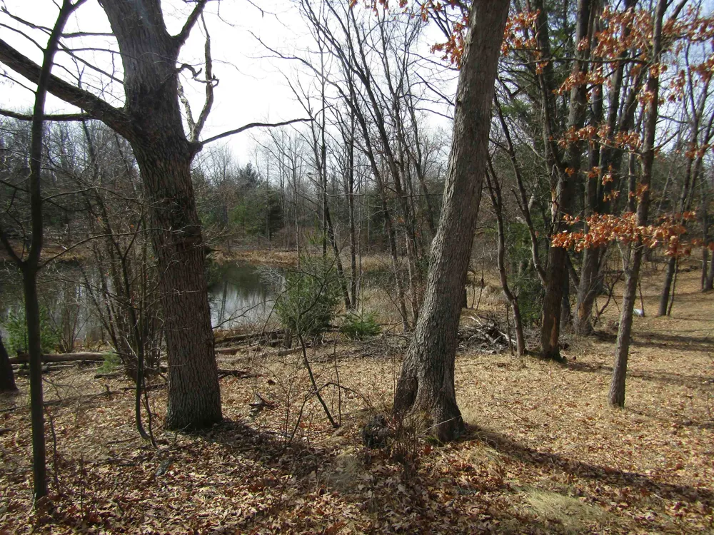 W Caribou Trail Churchill Township, MI 48661