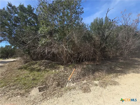Estate Trail