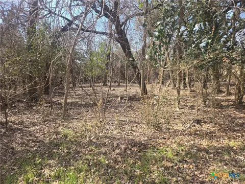 Estate Trail
