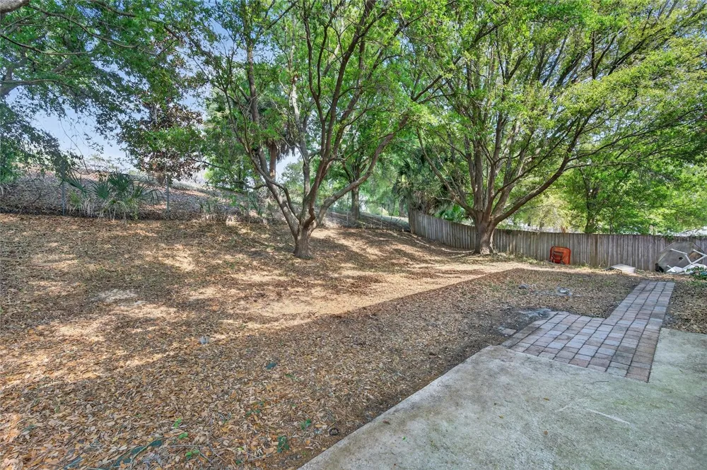 1305 WINDY BLUFF DRIVE Minneola, FL 34715
