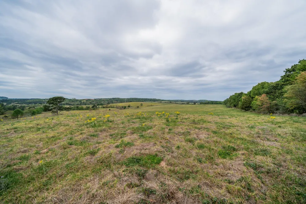 Hwy 155 Ore City, TX 75683