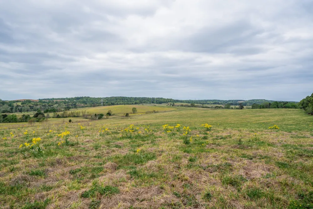 Hwy 155 Ore City, TX 75683
