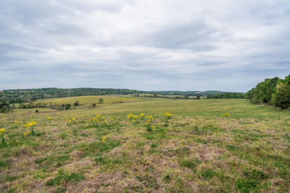 Hwy 155 Ore City, TX 75683