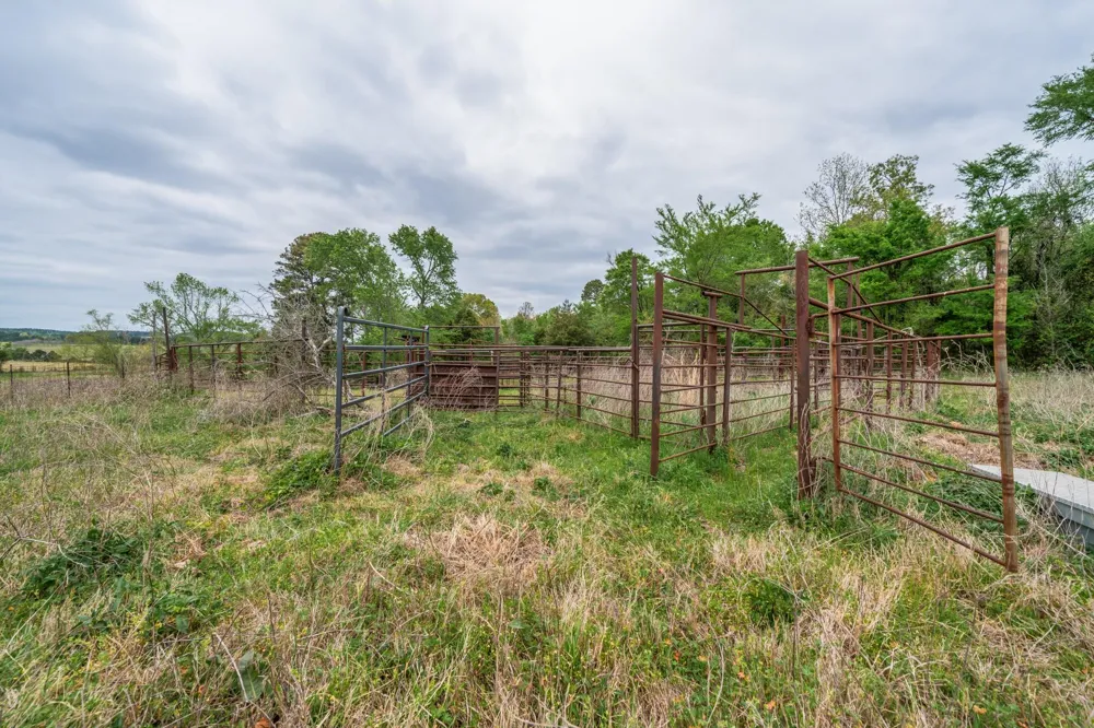 Hwy 155 Ore City, TX 75683