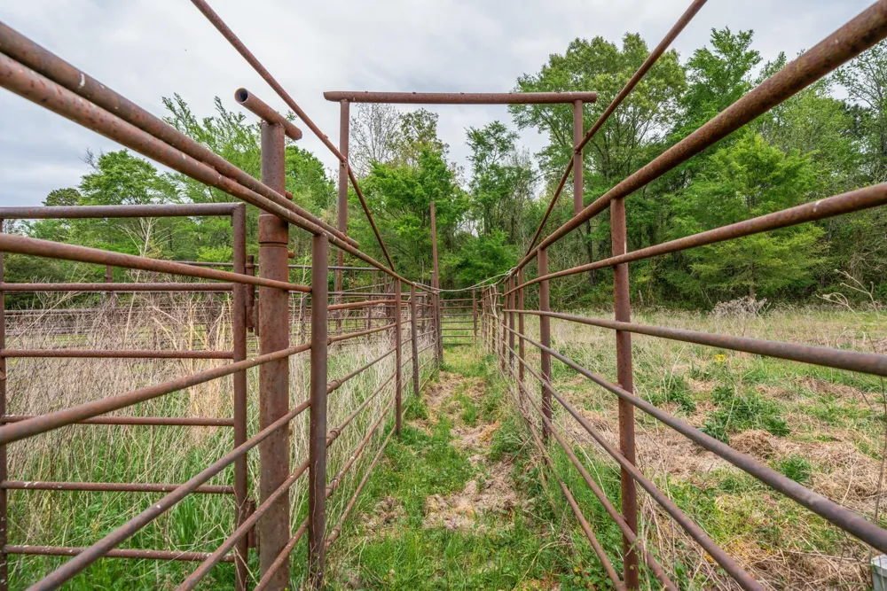 Hwy 155 Ore City, TX 75683