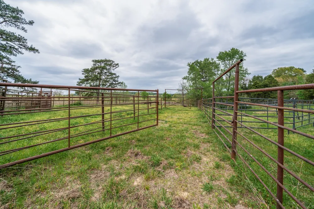 Hwy 155 Ore City, TX 75683