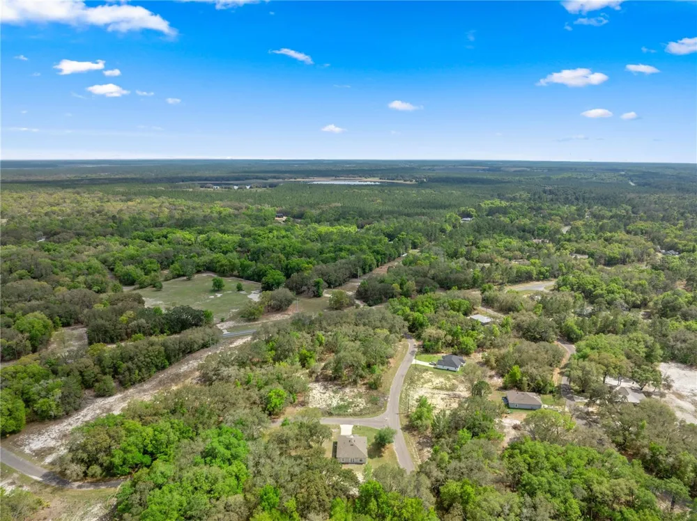 2 MAGNOLIA PASS TRACE Ocklawaha, FL 32179