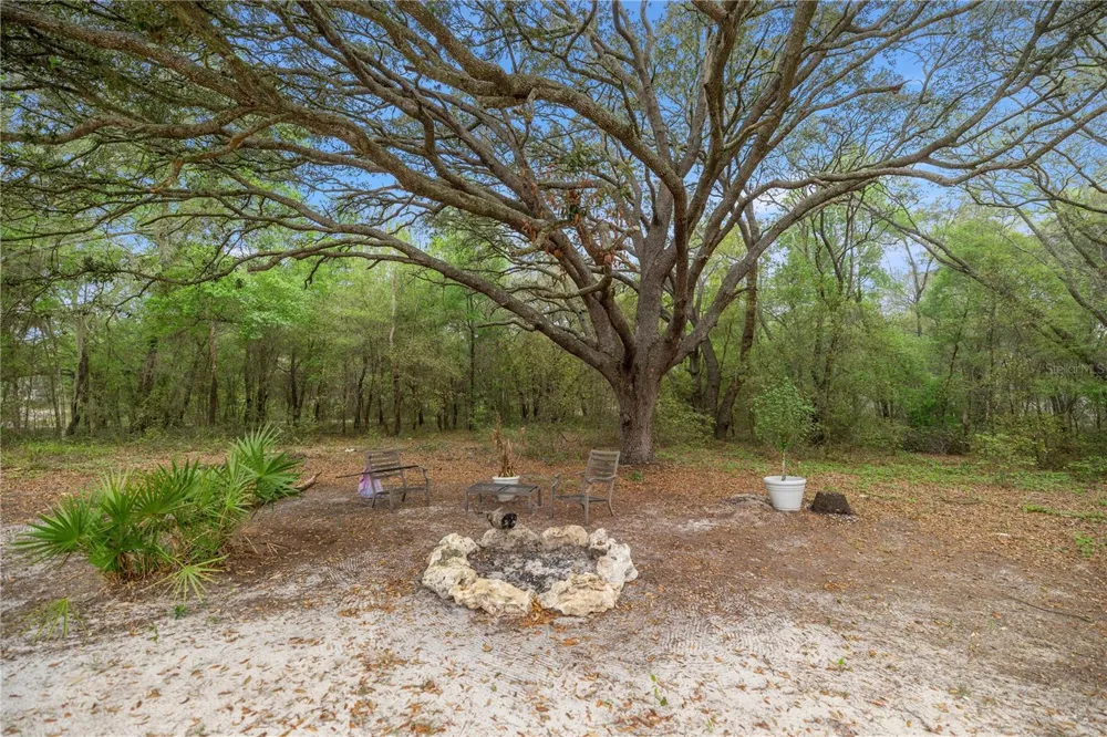 2 MAGNOLIA PASS TRACE Ocklawaha, FL 32179
