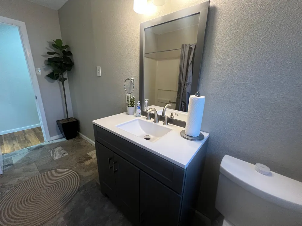 1207 W Ferguson Street Humble, TX 77338