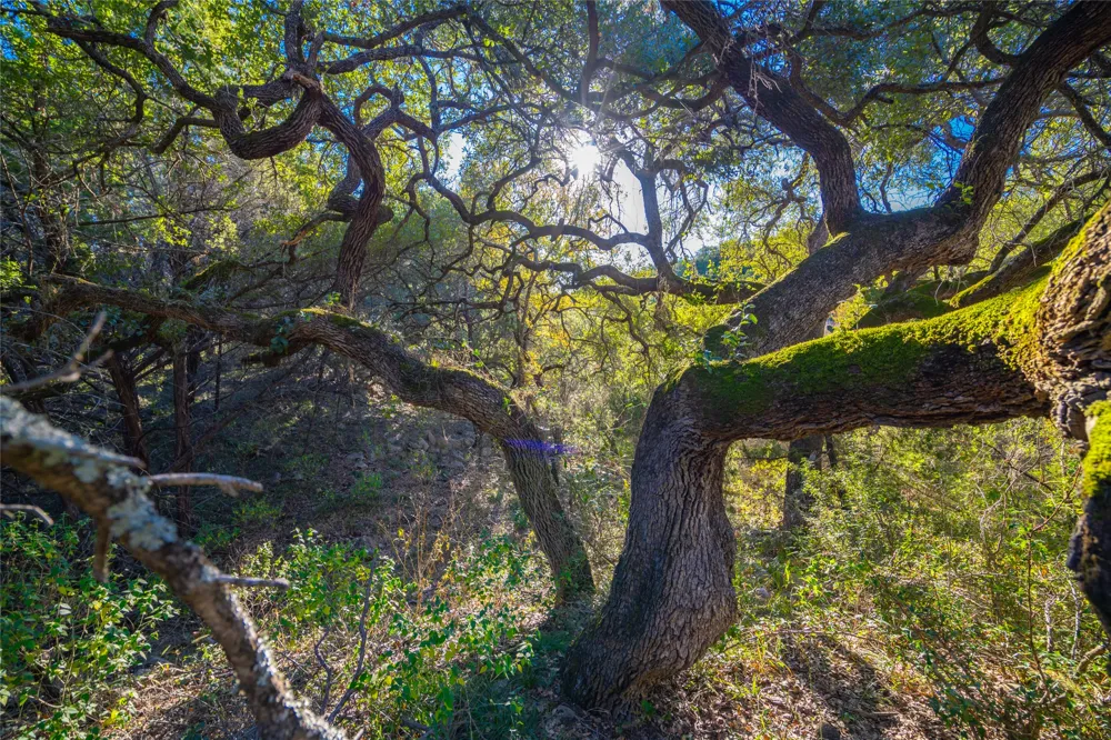 Quail Run Drive San Marcos, TX 78666
