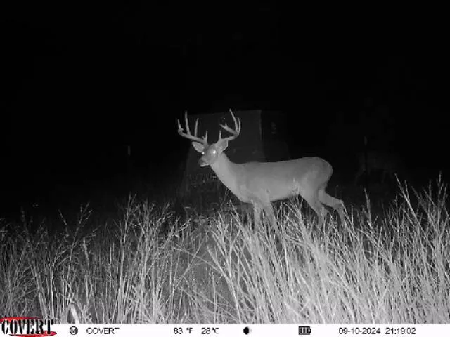 Quail Run Drive San Marcos, TX 78666