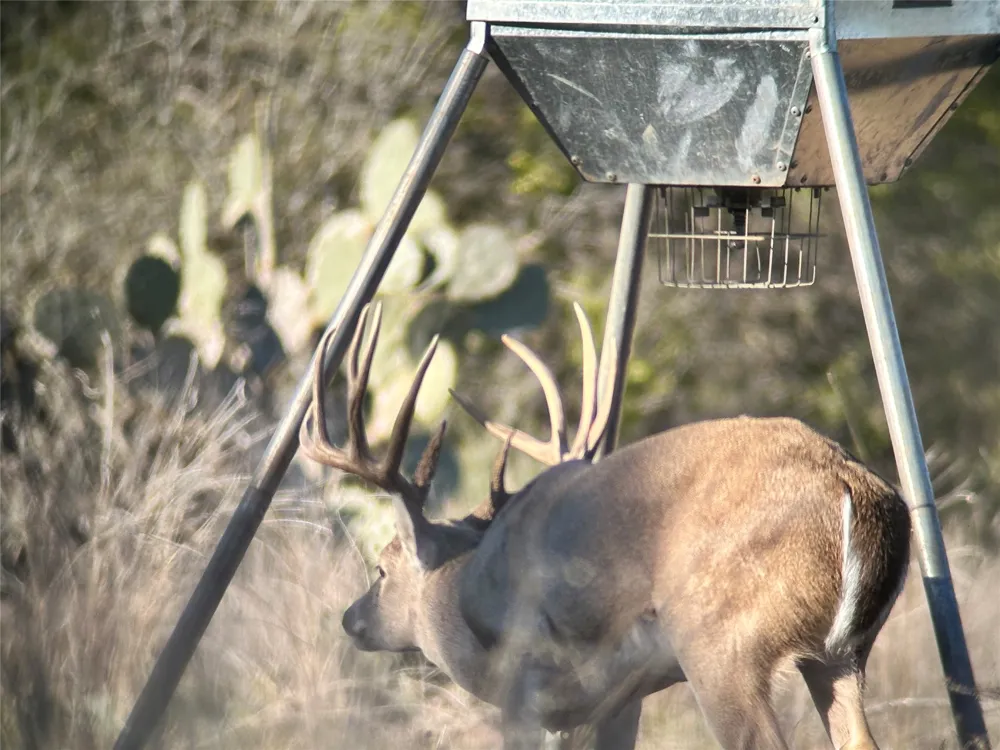 Quail Run Drive San Marcos, TX 78666