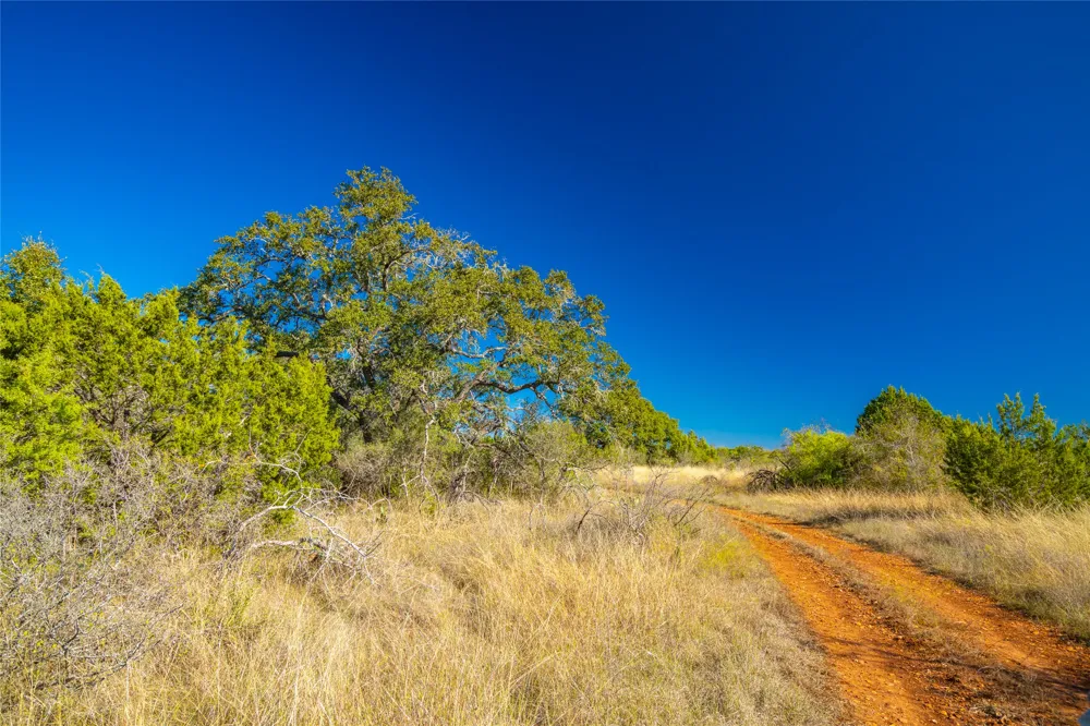 Quail Run Drive San Marcos, TX 78666